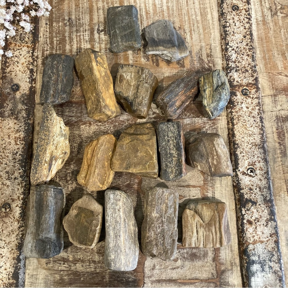 17pcs Petrified Wood 🪵 Rock Collection - Picture 9 of 17